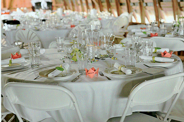 Dishes and Silverware Rentals Dishes and Silverware Rentals